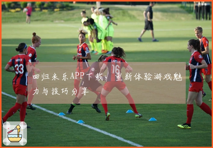 回归米乐APP下载，重新体验游戏魅力与技巧分享